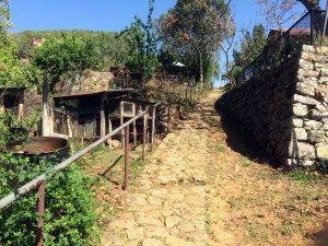 The path leading up to the schoolhouse.