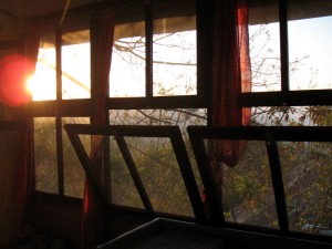 Morning light coming into the east alcove.