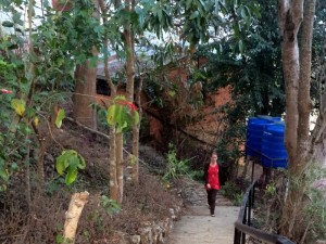 Nora's house was down a path in a grove of large trees.