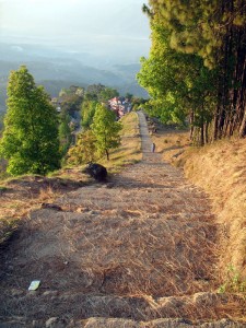 Looking back down the stairs to Srinigar.