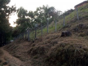 Fence posts made out of cast concrete.