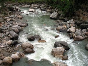 Mountain stream.