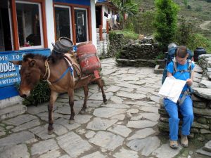 Checking the map in Tikhedhunga.