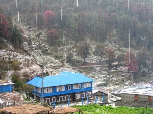 Other guesthouses during the downpour at Ghorepani.