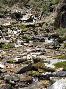 Stream near trail.