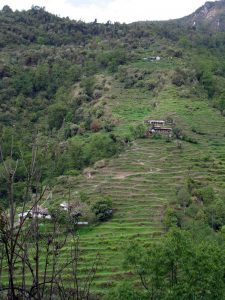 Climbing the hill out of the Kimrong river valley.