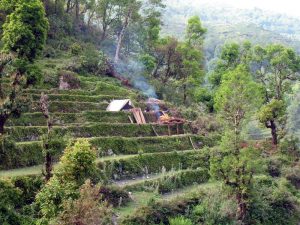 A primitive working sawmill.