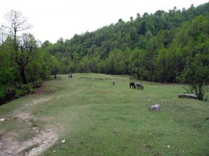 Geeen pasture land reminded us of home.